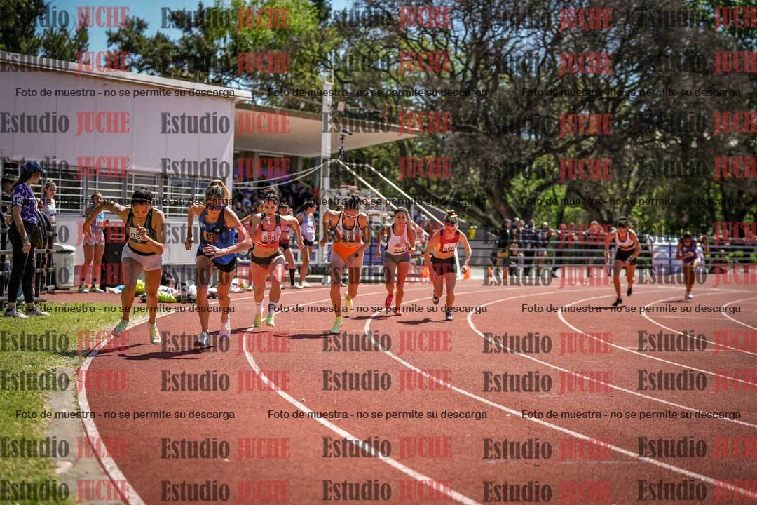 Fotos de los 800 m llanos de mujeres