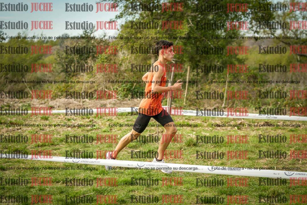 Fotos en el circuito