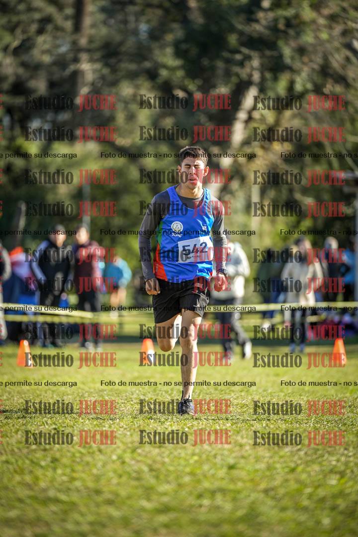 Fotos de la llegada del cross de 4000 m - varones