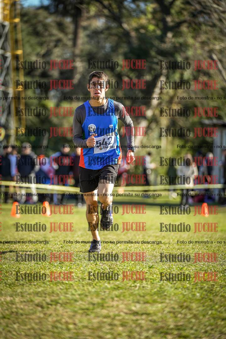 Fotos de la llegada del cross de 4000 m - varones
