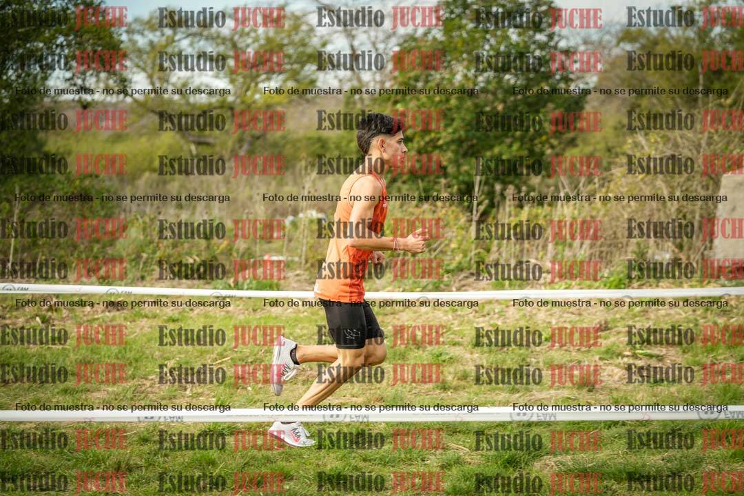Fotos en el circuito