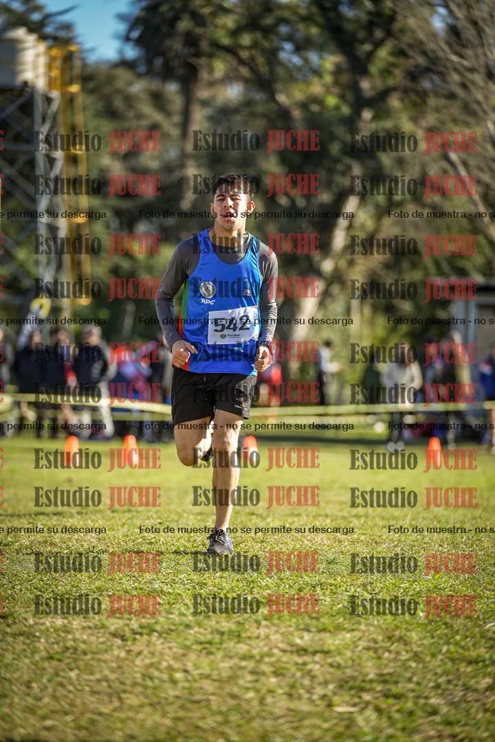 Fotos de la llegada del cross de 4000 m - varones