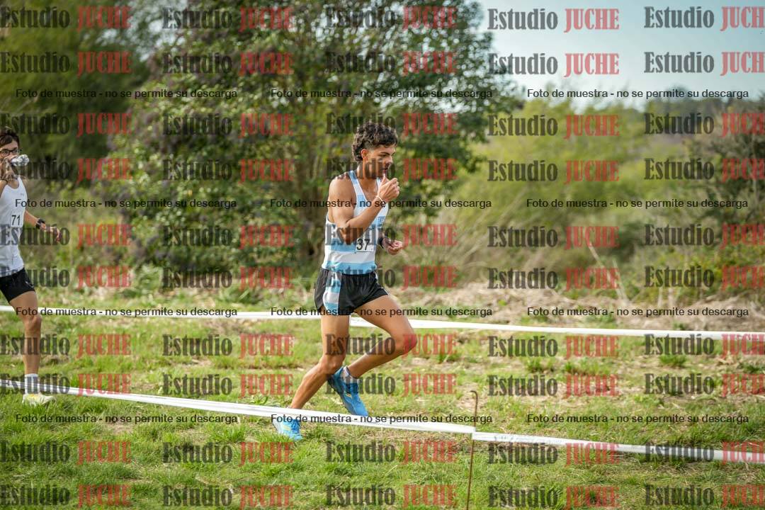 Fotos en el circuito