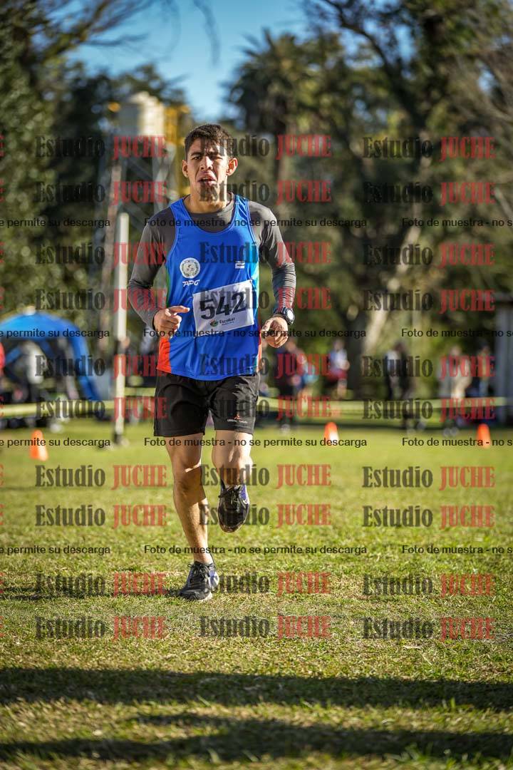 Fotos de la llegada del cross de 4000 m - varones