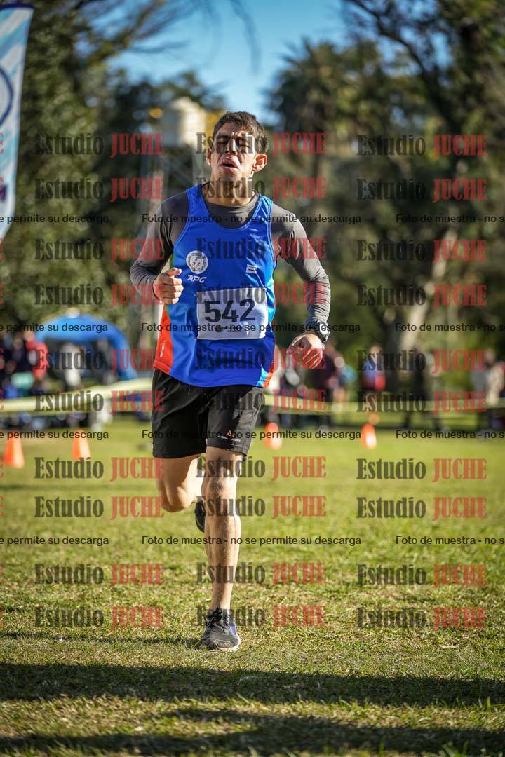 Fotos de la llegada del cross de 4000 m - varones