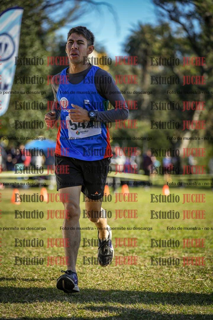 Fotos de la llegada del cross de 4000 m - varones