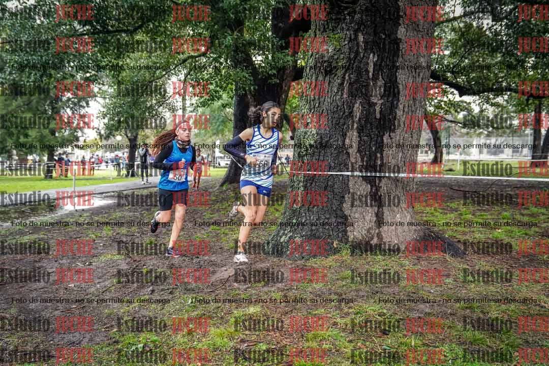 Fotos en el circuito