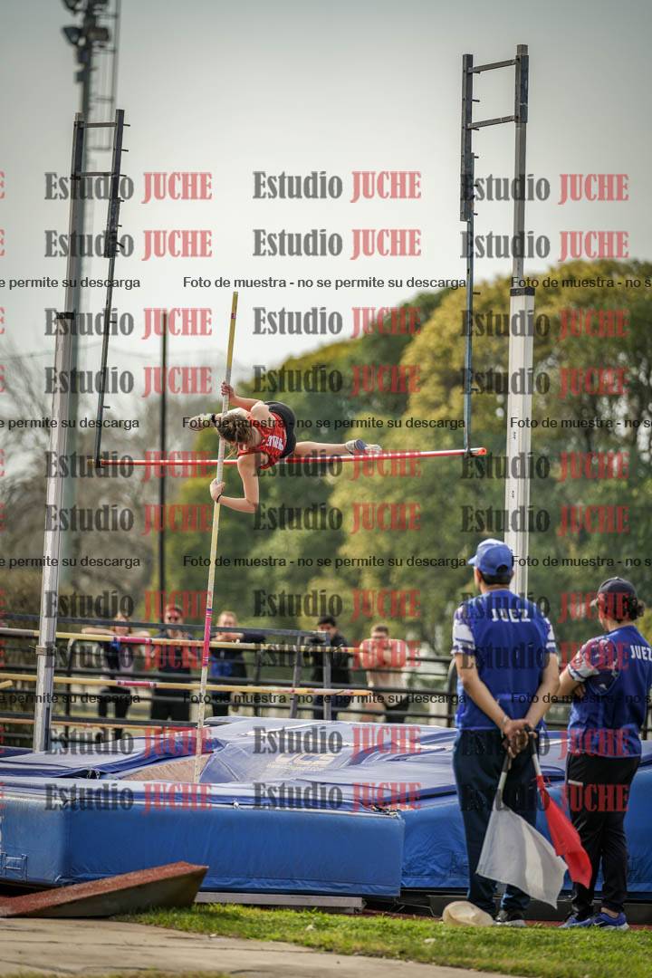 Fotos del salto con garrocha de mujeres