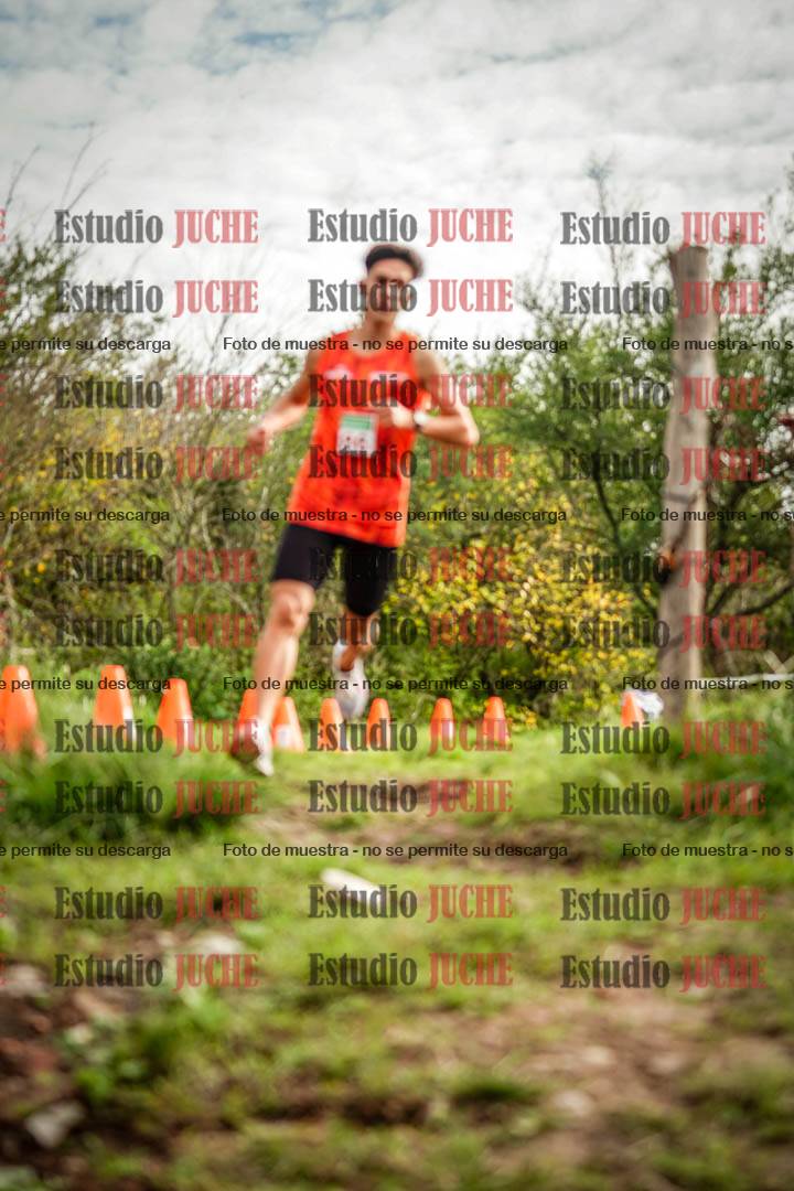 Fotos en el circuito