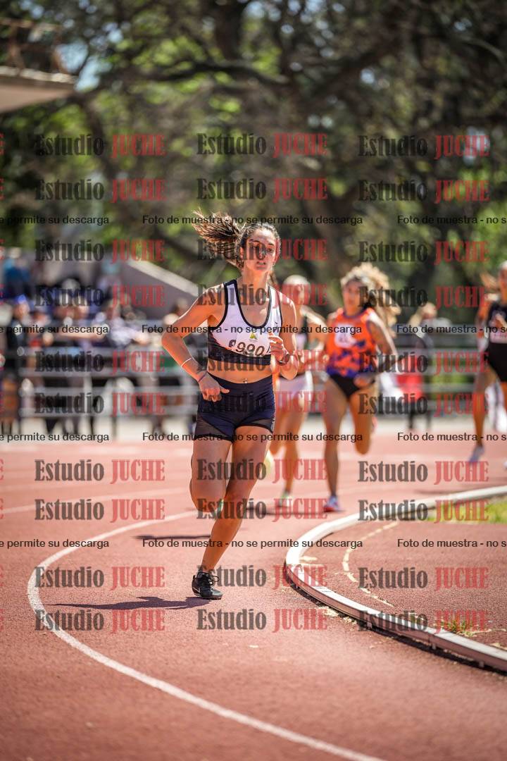 Fotos de los 800 m llanos de mujeres
