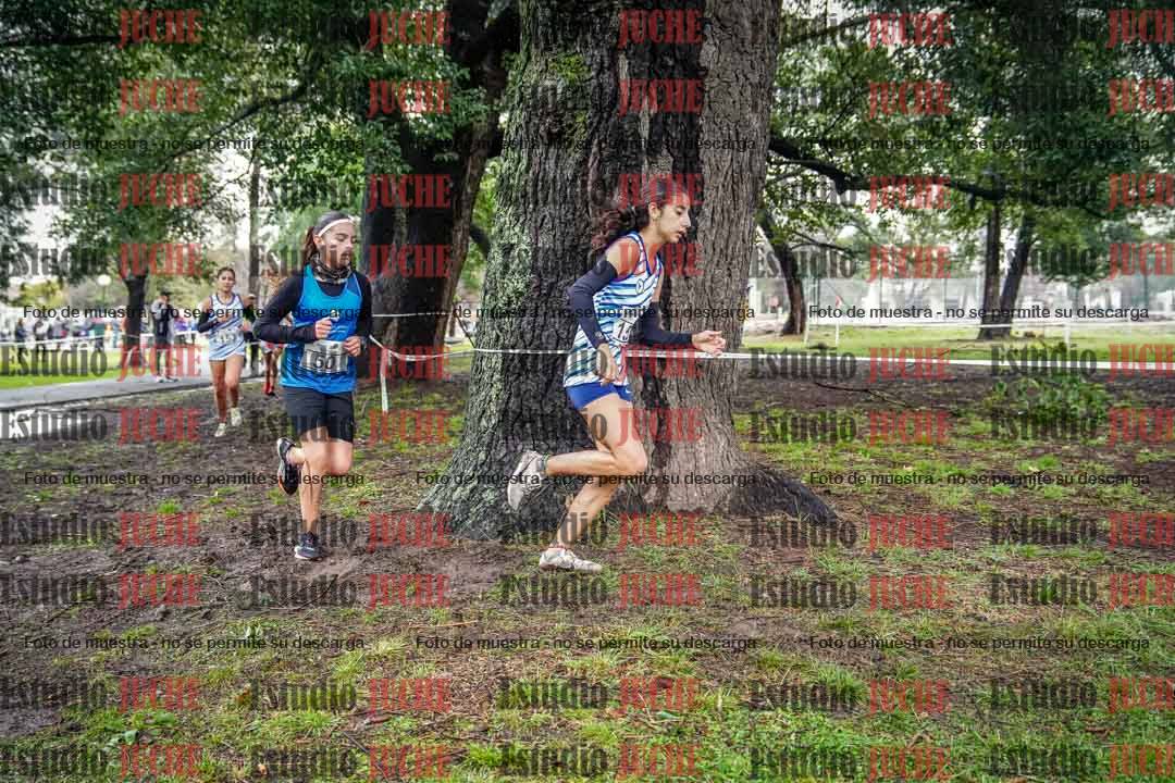 Fotos en el circuito