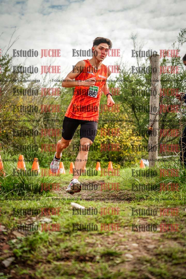 Fotos en el circuito