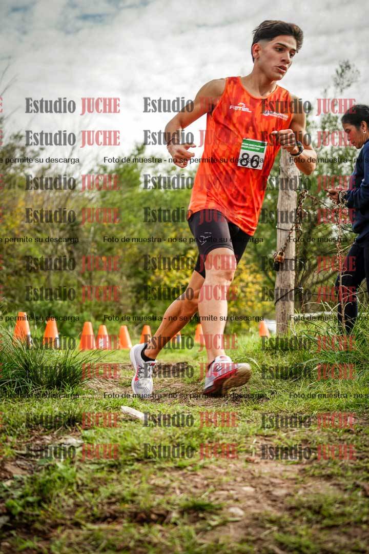 Fotos en el circuito
