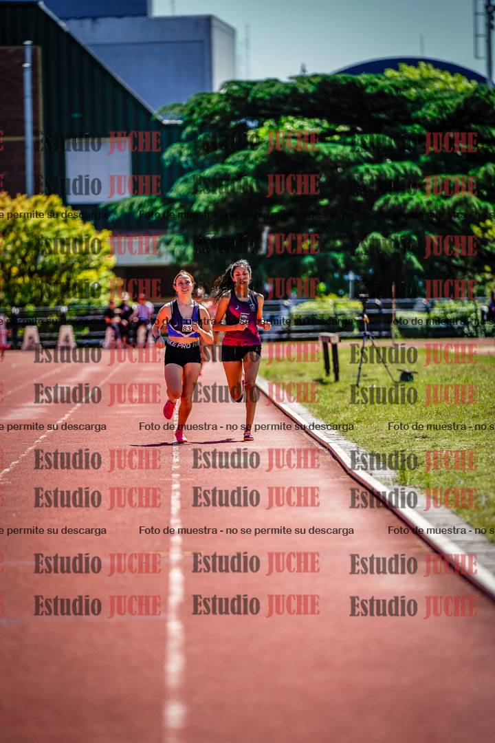 Fotos de los 800 m llanos de mujeres