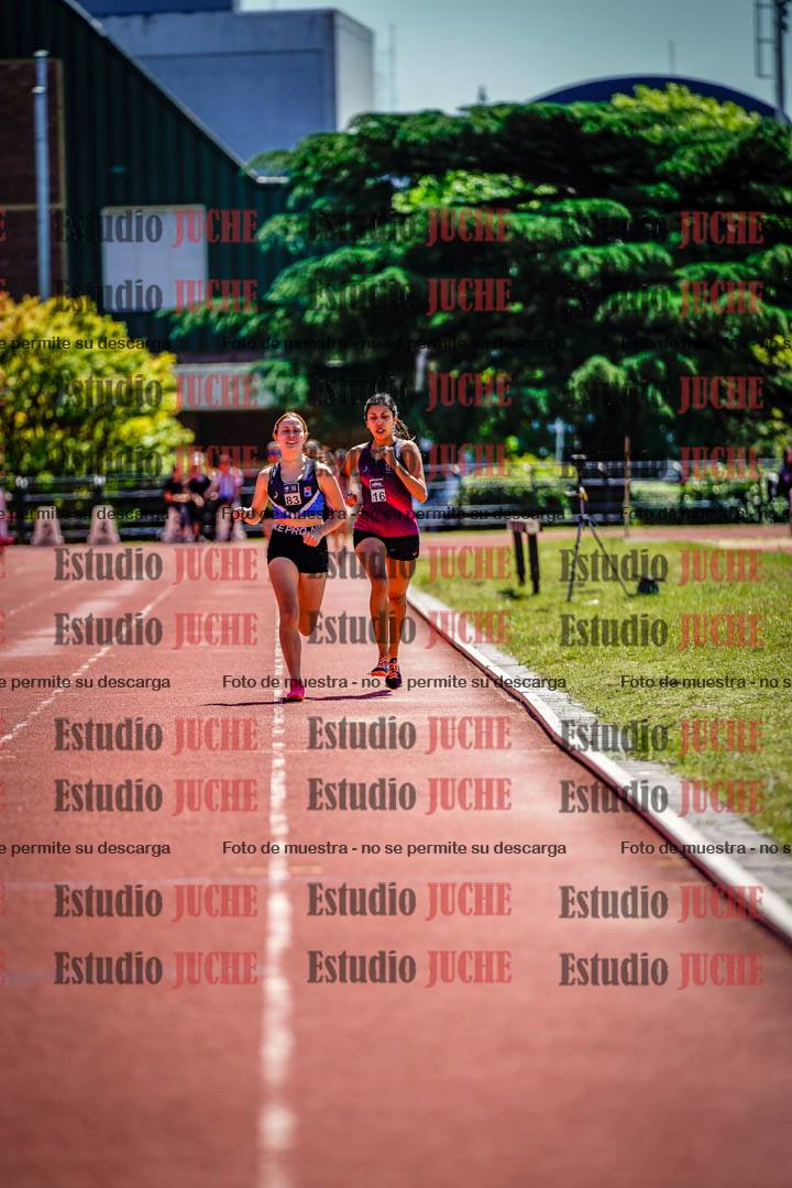 Fotos de los 800 m llanos de mujeres