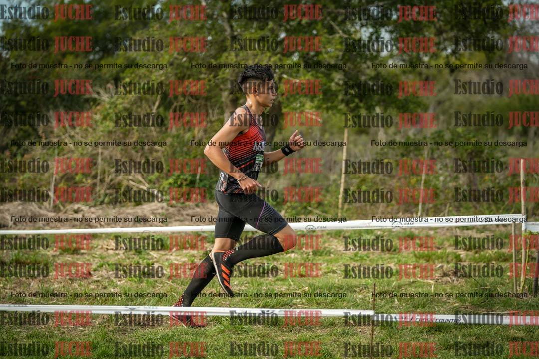 Fotos en el circuito