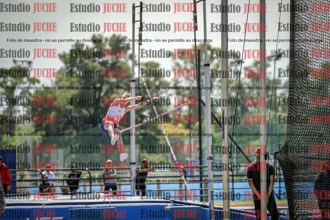 Fotos del salto con garrocha de mujeres y varones