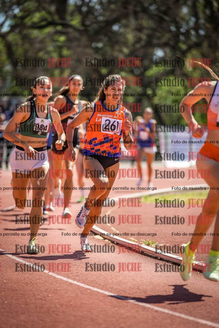 Fotos de los 800 m llanos de mujeres