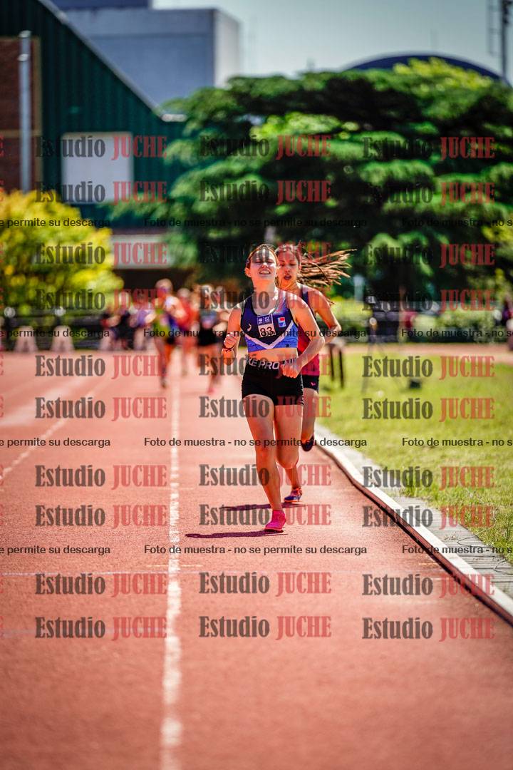 Fotos de los 800 m llanos de mujeres