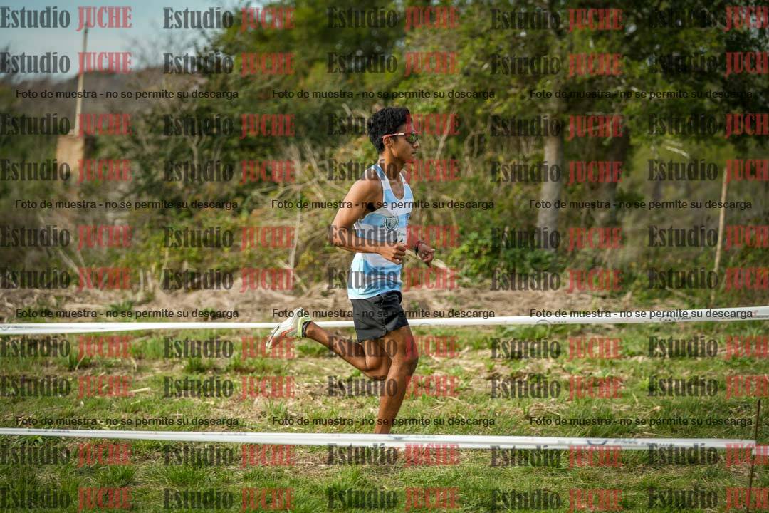 Fotos en el circuito