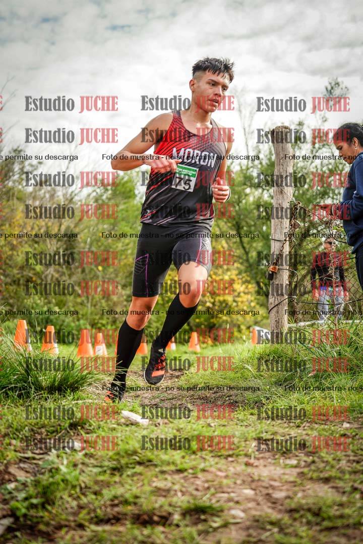 Fotos en el circuito