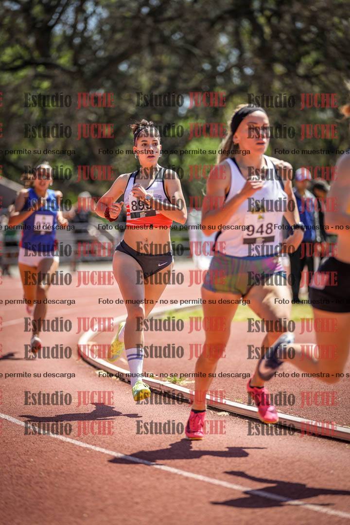 Fotos de los 800 m llanos de mujeres