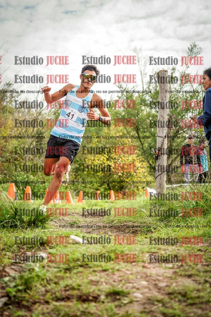 Fotos en el circuito