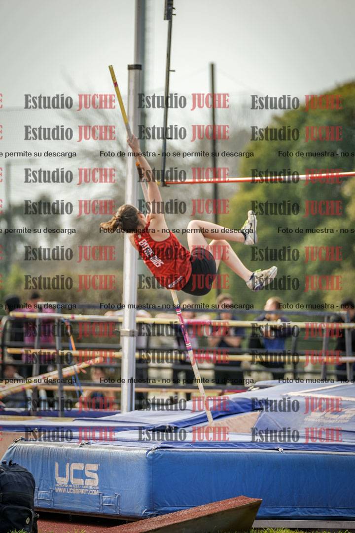 Fotos del salto con garrocha de mujeres