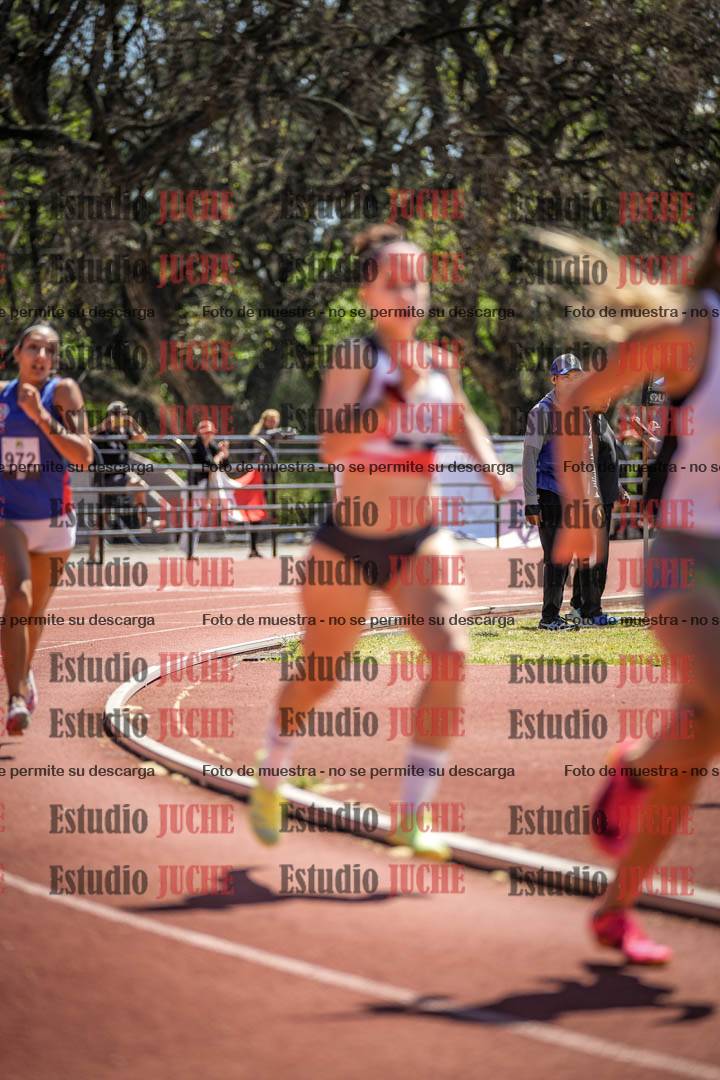 Fotos de los 800 m llanos de mujeres
