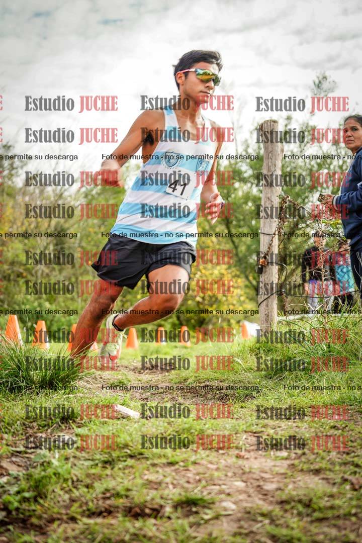 Fotos en el circuito