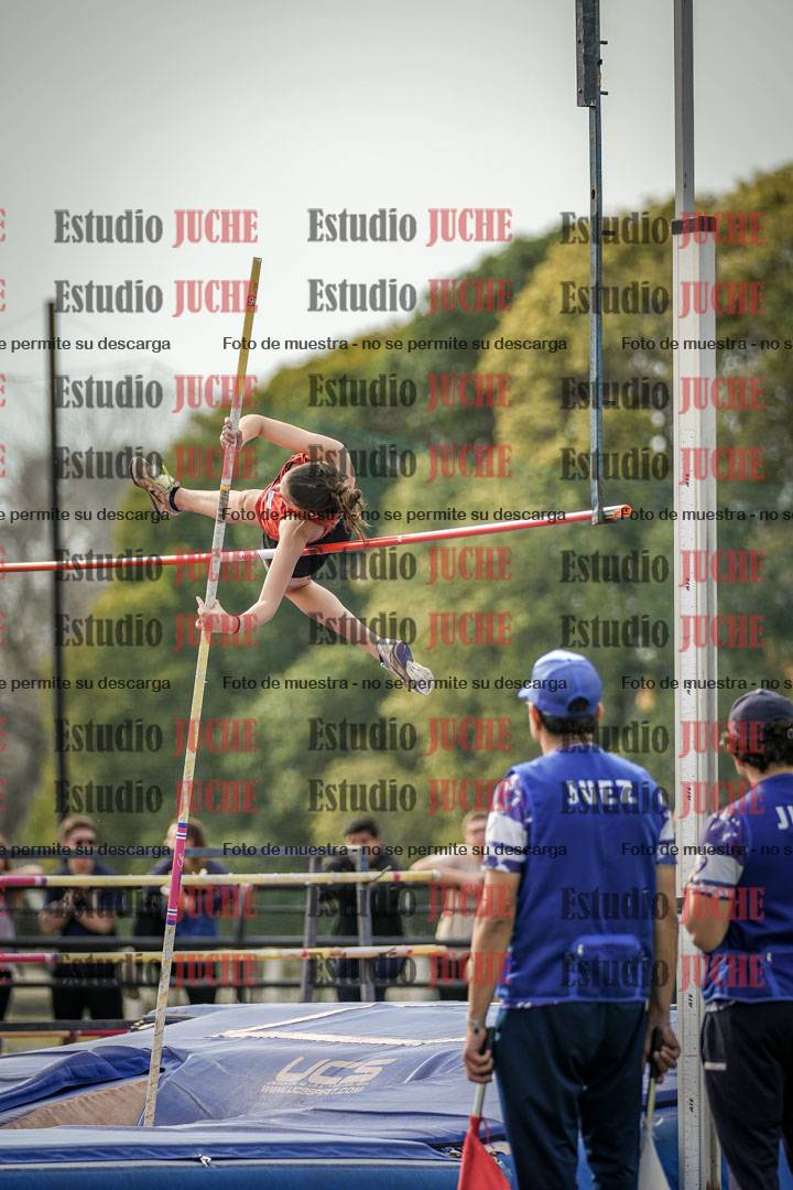 Fotos del salto con garrocha de mujeres