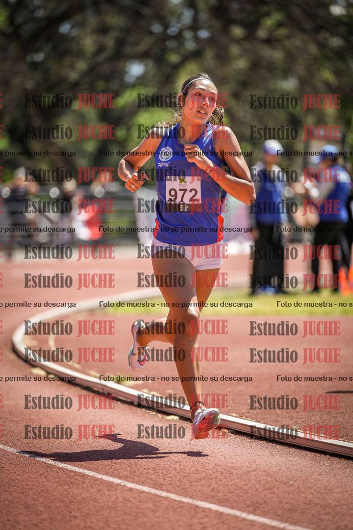 Fotos de los 800 m llanos de mujeres