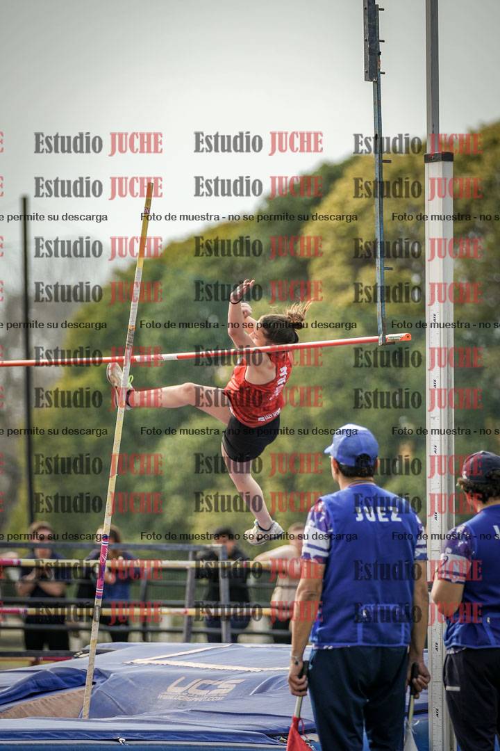 Fotos del salto con garrocha de mujeres