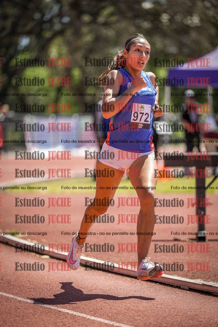 Fotos de los 800 m llanos de mujeres