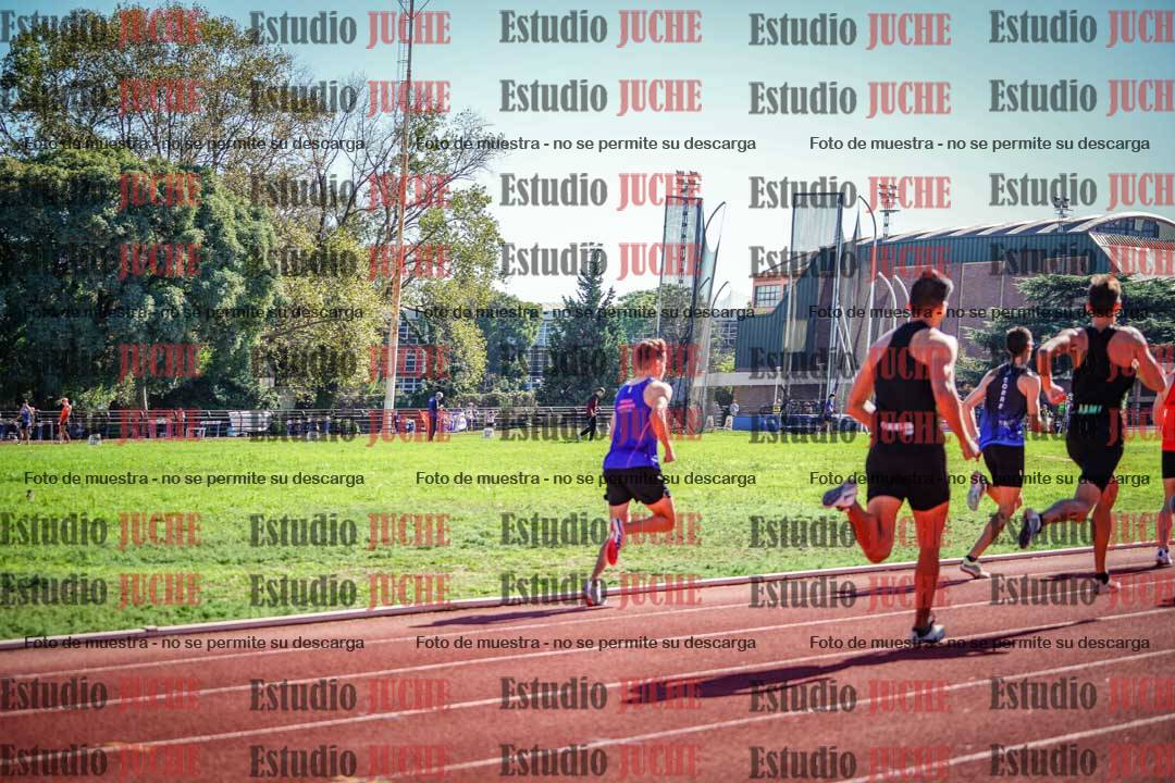Fotos de los 800 m llanos de varones
