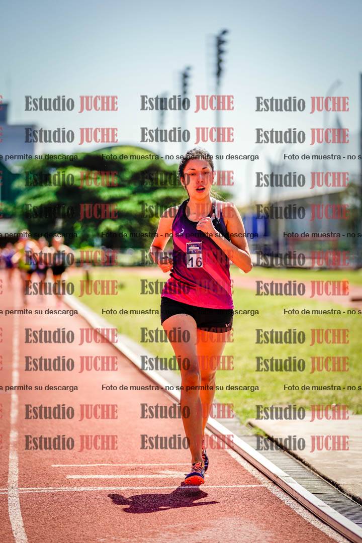 Fotos de los 800 m llanos de mujeres