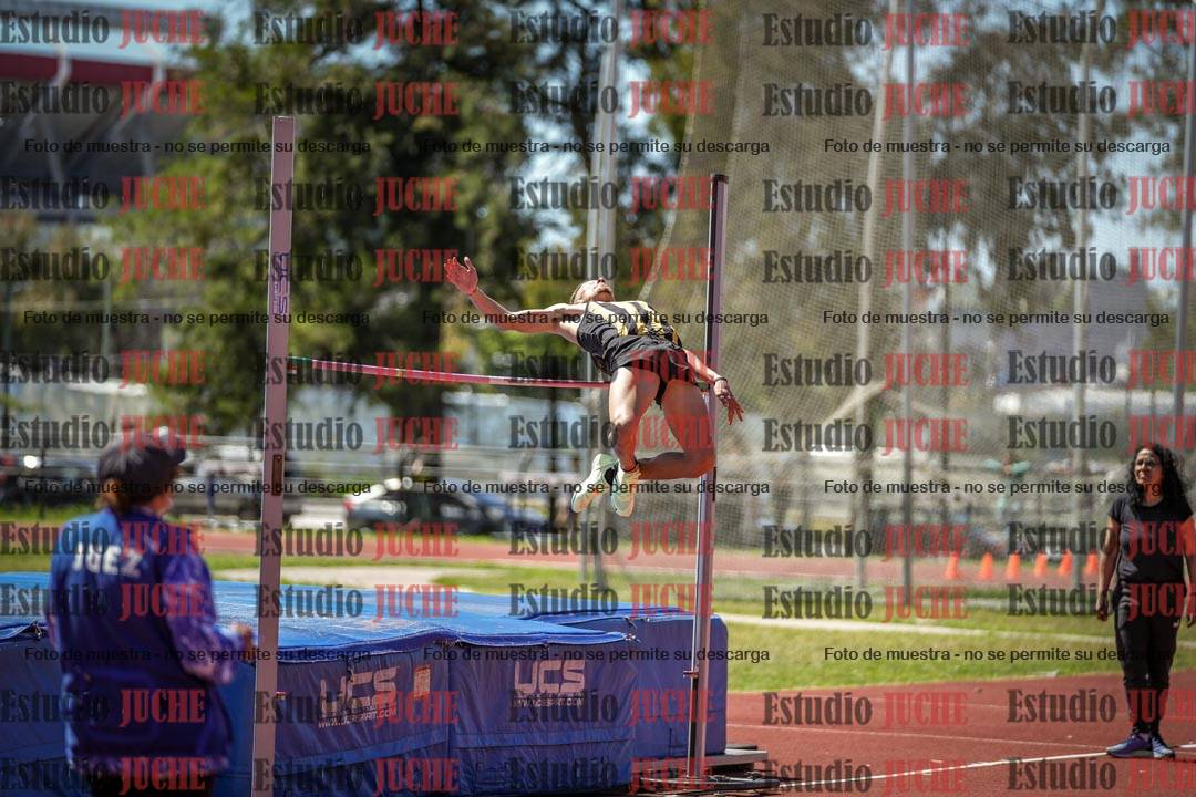 Fotos del salto en alto de varones