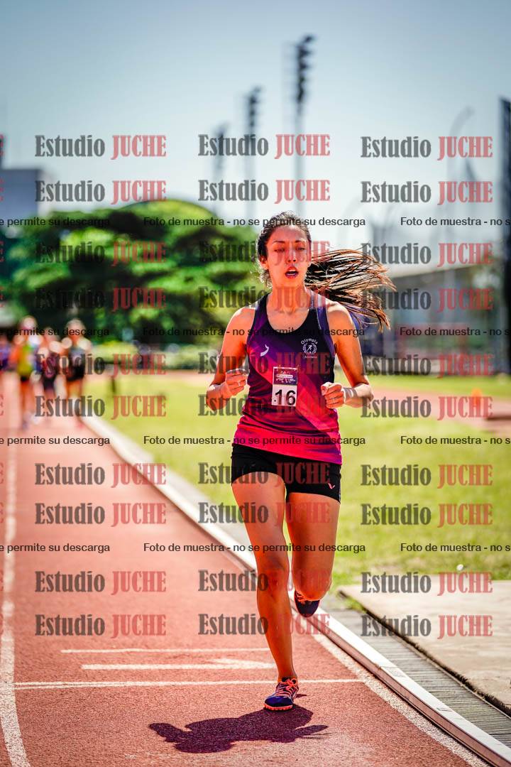 Fotos de los 800 m llanos de mujeres