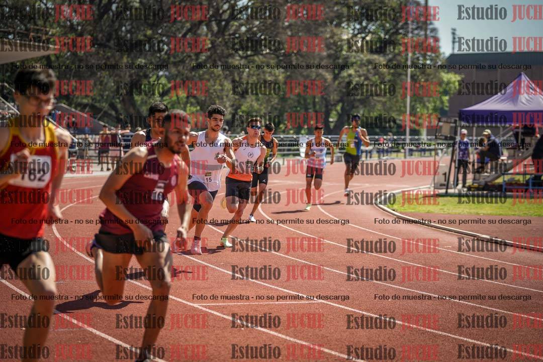 Fotos de los 800 m llanos de varones