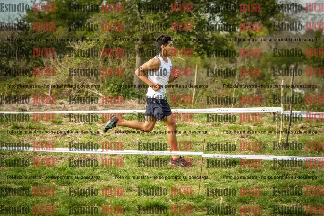 Fotos en el circuito