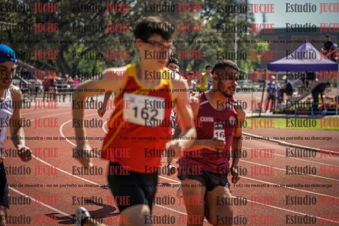 Fotos de los 800 m llanos de varones