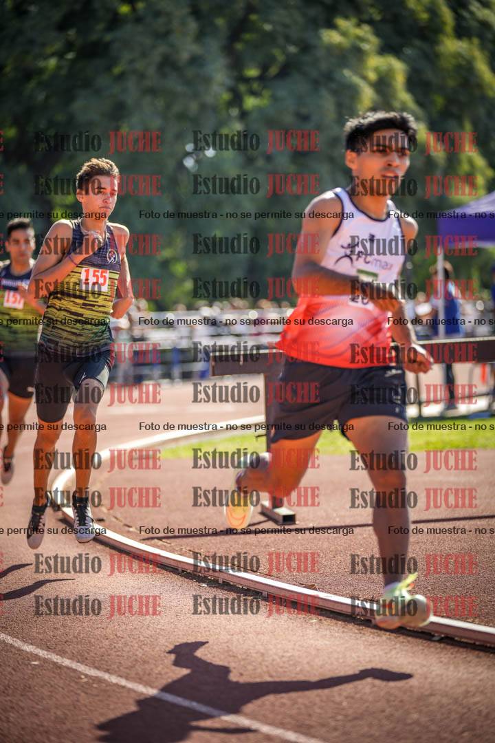 Fotos de los 800 m llanos de varones