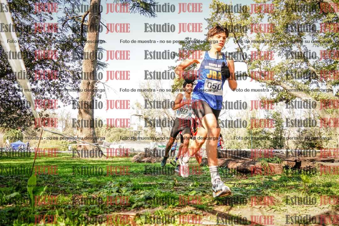 Fotos en el segundo punto del circuito