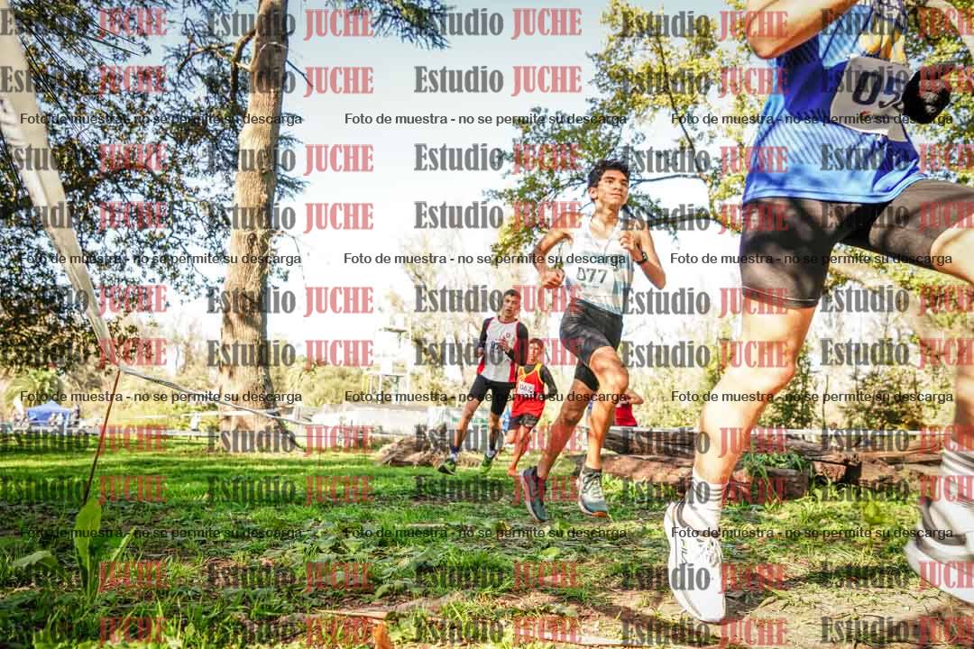 Fotos en el segundo punto del circuito