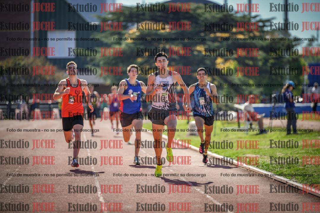 Fotos de los 800 m llanos de varones