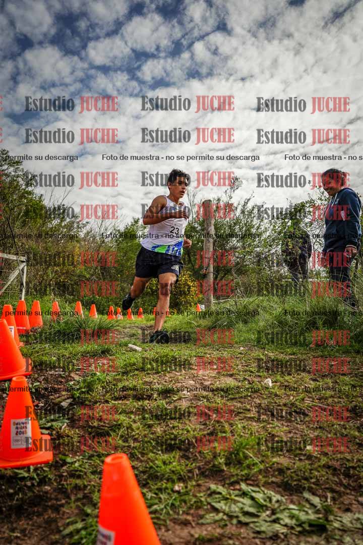 Fotos en el circuito