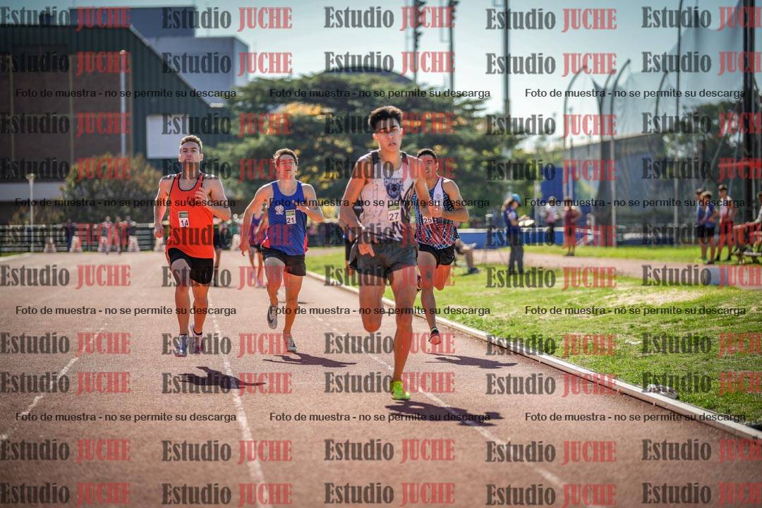 Fotos de los 800 m llanos de varones