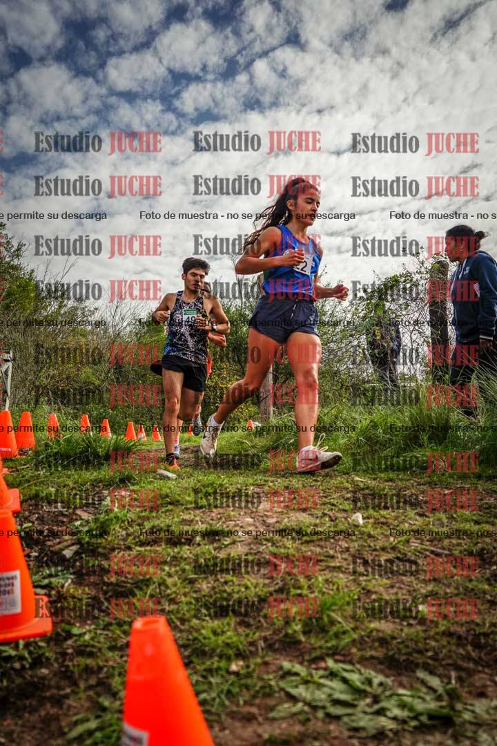 Fotos en el circuito