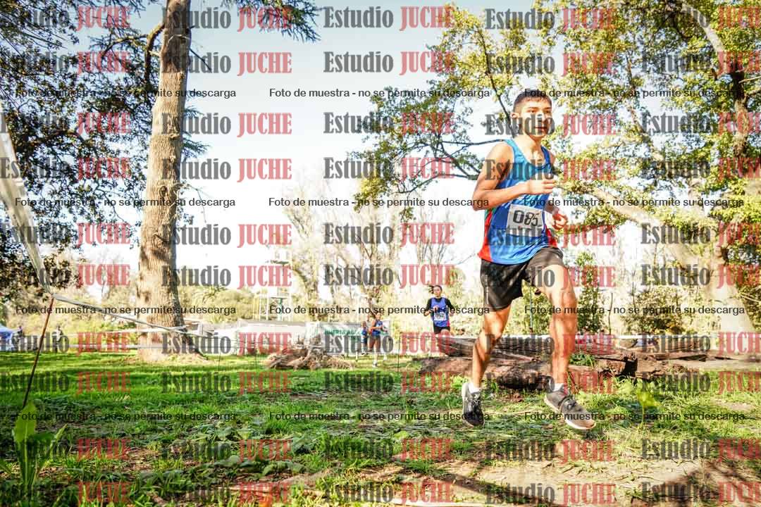 Fotos en el segundo punto del circuito