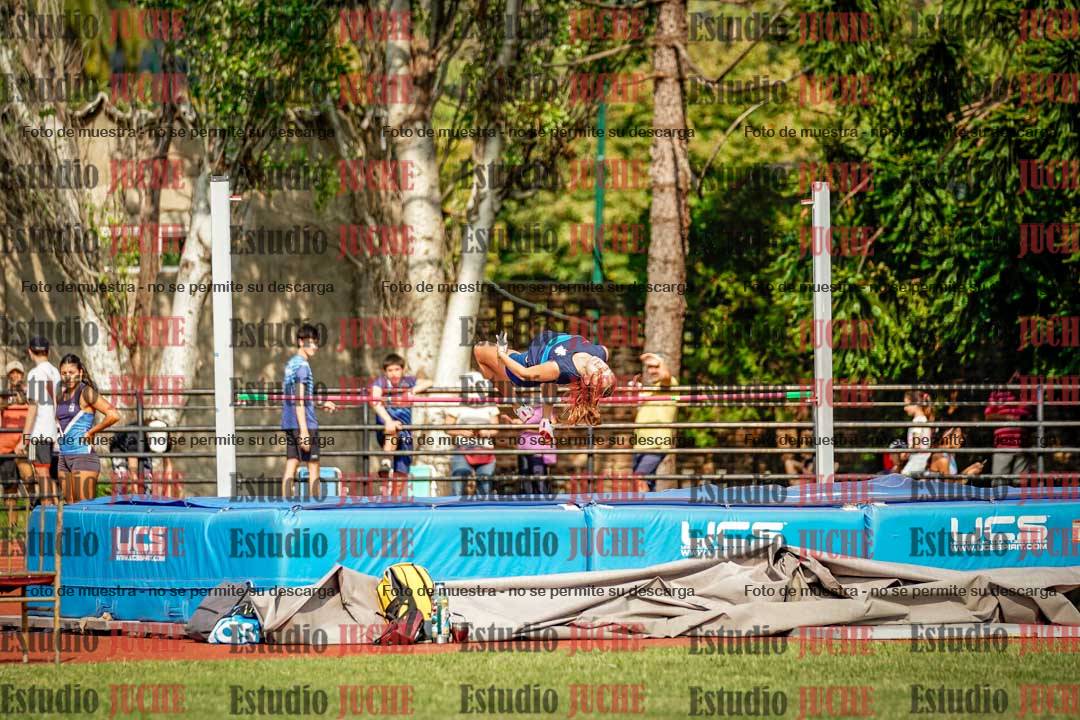 Fotos del salto en alto